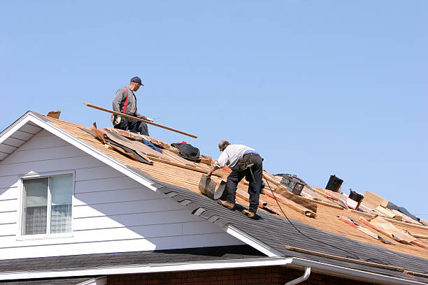 Best Sheet Metal Roofing  in Santaquin, UT